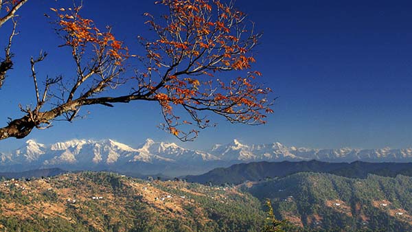 Almora Uttarakhand