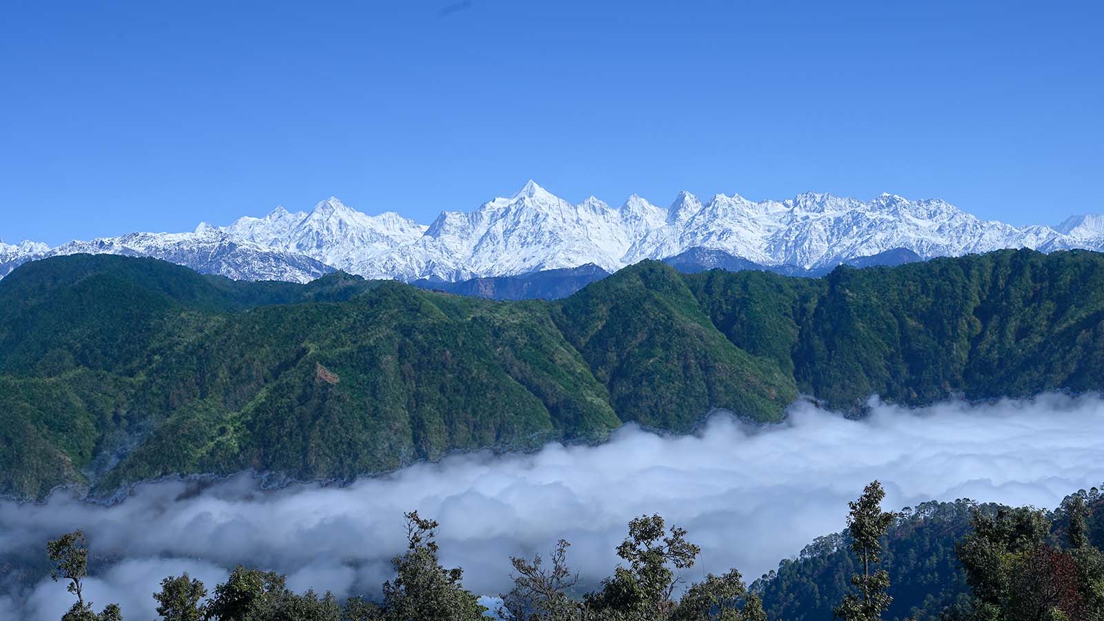 Himalayas UK