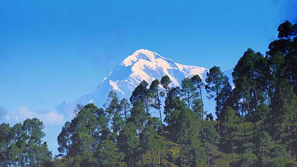 binsar almora