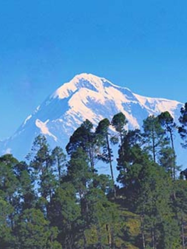 Less Known Hill Station in Uttarakhand:  Chaukori Heritage Resort